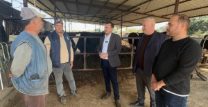 CHP'den Kırsal Kalkınma Vurgusu:Manisa'da Hayvanlarımızı Satmak Zorunda Kalıyoruz