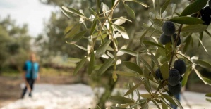 Denetimli Serbestlik Yükümlülerine Anlamlı Görev