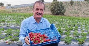 bKasım Ayında Köprübaşı İlçesinde.../b