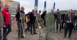 Manisa’da 2025 sonuna kadar 3,1 milyon fidan toprakla buluşacak