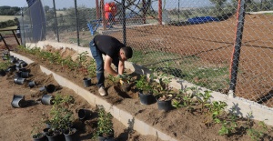 Turgutlu Belediyesi Park ve Bahçeler Müdürlüğü Ekipleri Yoğun Çalışma İçerisinde