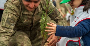 Yangında küle dönen ormanları minik eller yeşertecek