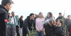 Yangında küle dönen ormanlık alanda fidan diktiler