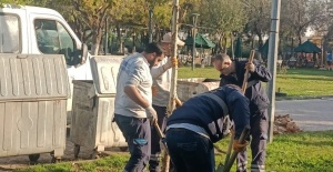 Yunusemre’de ağaçlandırma çalışmaları sürüyor