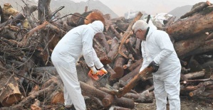 Budanan ağaç dalları ihtiyaç sahiplerini ısıtıyor