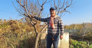 Çiftçinin mesaisi kışın da sürüyor