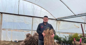 Genç kardeşlerden Sarıgöl ekonomisine 700 bin fidan hamlesi