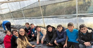 Gördes’te çilekler engelliler için yetişecek