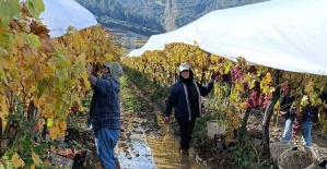 İşçiler yağmur ve çamuru aldırış etmeden üretime devam ediyor