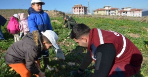 Manisa’da yanan alanlara 100 bininci fidan dikildi