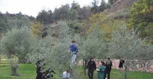 Manisa’da "Zeytin 5.0 Projesiyle" çocuklar hem öğrendi hem üretti