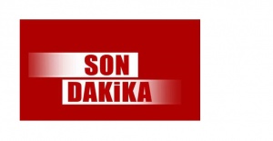 bSalihlide ücretsiz zeytin budama.../b