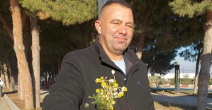 Sarıgöl’de zemheri papatyaları açtı