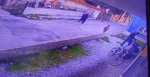 Çocukların gözü önünde köpeği katletti