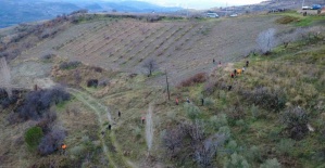 Kayıp olarak aranan kadın dere yatağında ölü bulundu