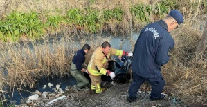 Kayıp olarak aranan yaşlı adam dere yatağında ölü bulundu