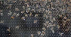 Manisa’da kırsal kalkınmaya 144 milyon TL’lik dev yatırım