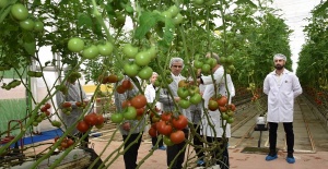 Modern sera yatırımları Salihli’de tarımı güçlendiriyor