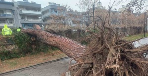Salihli’yi fırtına vurdu, ağaçlar devrildi, çatılar uçtu