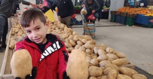 Sarıgöl pazarında dev patatesler ilgi odağı oldu