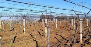 Üzüm üreticisi yenilik peşinde