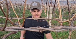 Yağmur bitti, çiftçi bağlara koştu