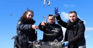 Doğu’nun gizli denizinde şefkat eli: Polis ekipleri martı ve tavşanları unutmadı