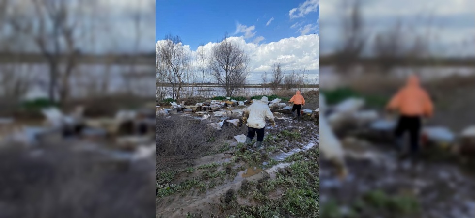 Salihli’de 103 kovan arı sele kapıldı