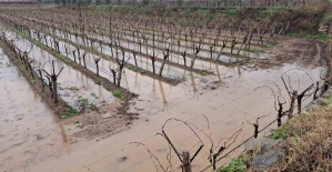 Sarıgöl’de bereketli yağmurlar yüzleri güldürdü