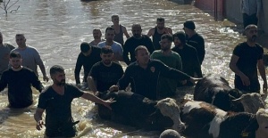 Taşan Gediz Nehri dolayısıyla mahsur kalan 44 kişi ve 127 hayvan kurtarıldı