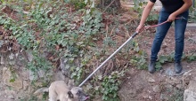 Turgutlu’da dere yatağında mahsur kalan köpek kurtarıldı