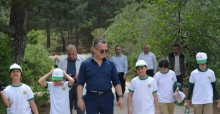 Soma’da ormanlar tertemiz oldu