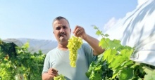 Sultaniye üzüm sezonu açıldı, üreticiler sosyal medyada tanıtıma başladı