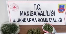 Manisa jandarmasından uyuşturucu operasyonu: 3 tutuklama