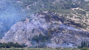 Manisa'da orman yangını bir saatte kontrol altına aldı