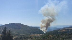 Soma’da orman yangını