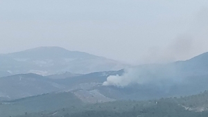 Manisa’da orman yangını
