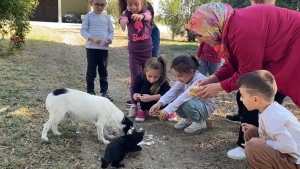 Kedi ve köpeğin dostluğuna tanıklık ettiler