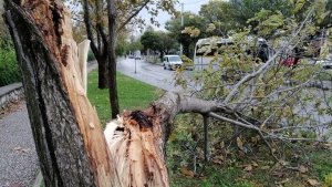 Manisa'da fırtına etkili oluyor