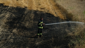 Manisa’da ekin yangını başka tarlalara sıçramadan söndürüldü
