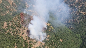 Alaşehir'de orman yangını